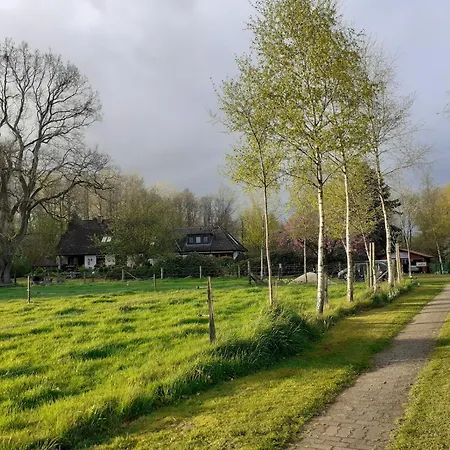 Birkenallee - Apfel Deinste