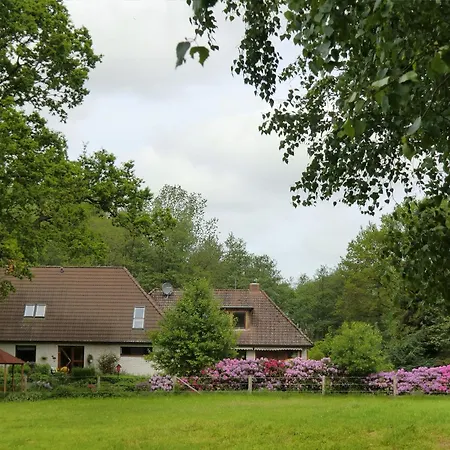 Apartmán Birkenallee - Apfel